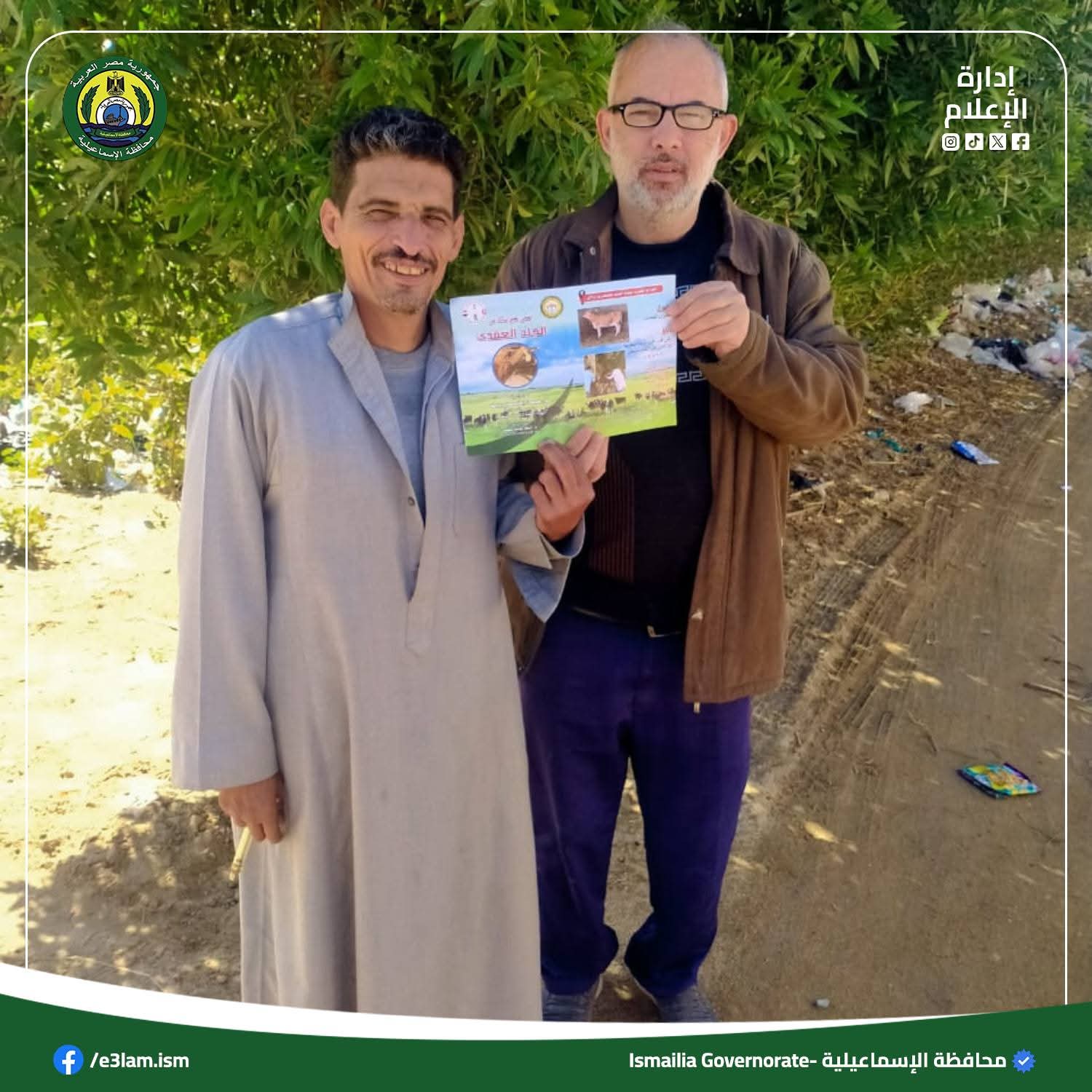 حملة موسعة لتحصين الماشية بالإسماعيلية ضد الجلد العقدي وجدري الأغنام