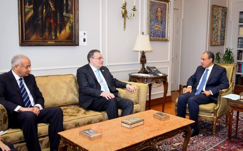 وزير الخارجية يبحث رئيس الجهاز المركزي للتنظيم والإدارة تطوير الأداء المؤسسي