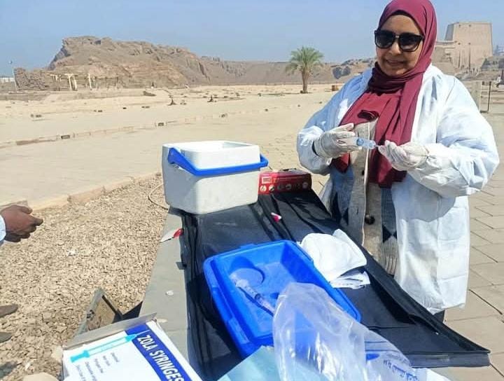 محافظ أسوان يتابع جهود الطب البيطري ويوجه بالتوسع في القوافل العلاجية المجانية