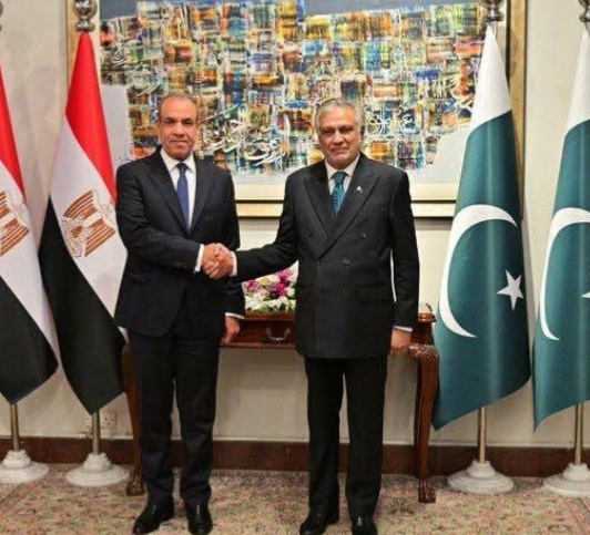 وزير الخارجية يبحث في إسلام آباد تعزيز التعاون المصري الباكستاني وتطورات الأوضاع الإقليمية