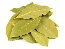 أوراق الغار، البوتوكس الطبيعي لشباب السبعين