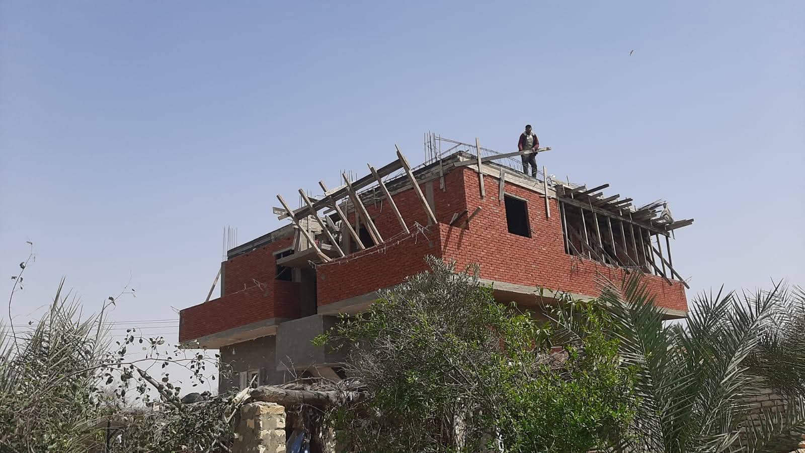 إزالة فورية لشدة خشبية مخالفة بعزبة الحمادة بالإسماعيلية