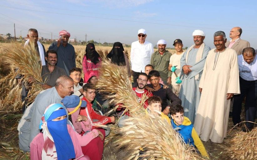 محافظ المنيا يجهز 42 موقعًا لاستقبال القمح استعدادًا لموسم 2026