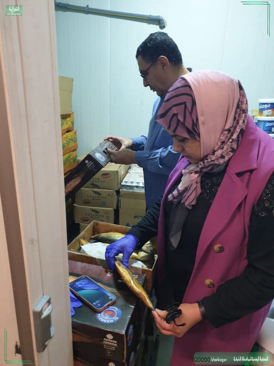 حملات بيطرية بالشرقية تضبط أكثر من 3 أطنان لحوم ودواجن وأسماك مجهولة المصدر