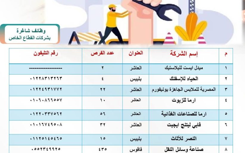 2064 فرصة عمل جديدة بالشرقية.. مبادرة لدعم الشباب في 3 مراكز صناعية