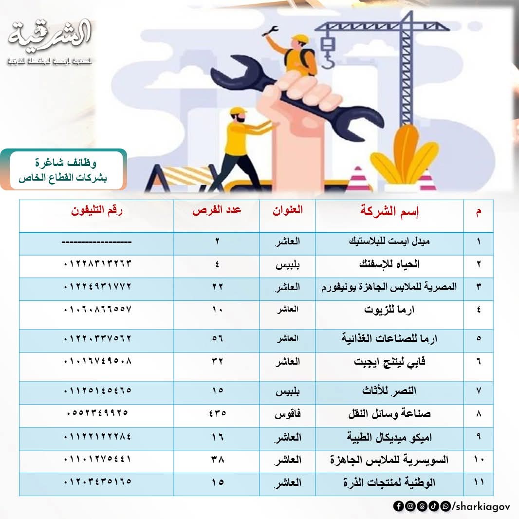 2064 فرصة عمل جديدة بالشرقية.. مبادرة لدعم الشباب في 3 مراكز صناعية