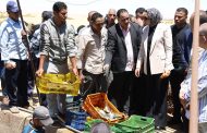 محافظ الوادي الجديد تتابع حصاد الاستزراع السمكي وتفقد الصوب الزراعية بالداخلة
