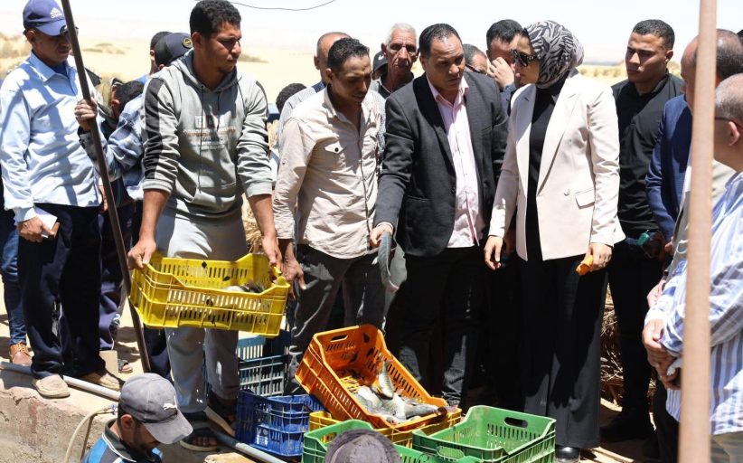 محافظ الوادي الجديد تتابع حصاد الاستزراع السمكي وتفقد الصوب الزراعية بالداخلة