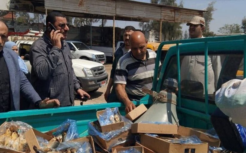 قبل شم النسيم.. إعدام 500 كجم رنجة فاسدة وضبط مخالفات تموينية بالحسينية