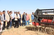 محافظ الوادي الجديد تتابع حصاد القمح بالداخلة وتؤكد دعم التوسع الزراعي والصناعات المرتبطة