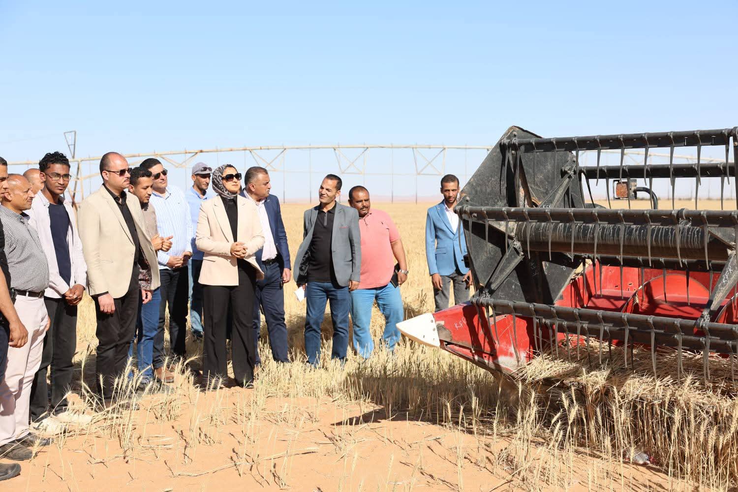 محافظ الوادي الجديد تتابع حصاد القمح بالداخلة وتؤكد دعم التوسع الزراعي والصناعات المرتبطة