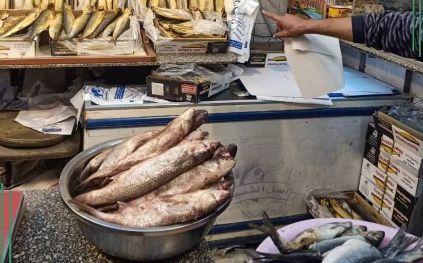 ضبط أكثر من 16 طن فسيخ ورنجة فاسدة في حملات مكثفة بالشرقية قبل شم النسيم