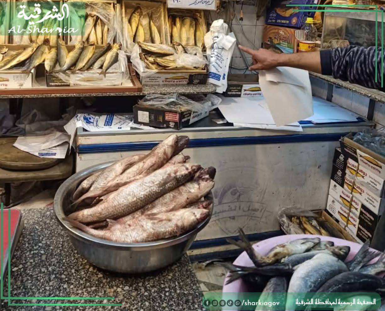 ضبط أكثر من 16 طن فسيخ ورنجة فاسدة في حملات مكثفة بالشرقية قبل شم النسيم