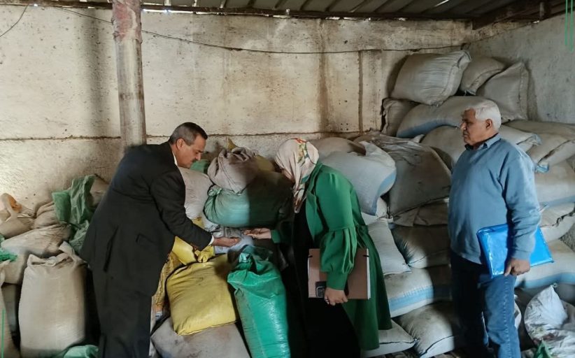 تموين الشرقية يضبط 113 طن مواد بترولية وأعشاب فاسدة و26,480 عبوة دواء غير صالحة خلال حملات مفاجئة