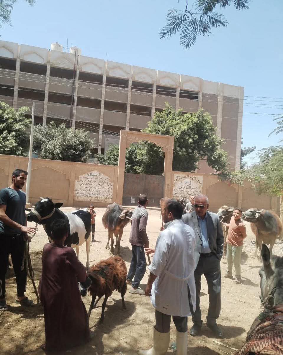 قوافل بيطرية مجانية بسوهاج تعالج 3150 حالة خلال 5 أيام