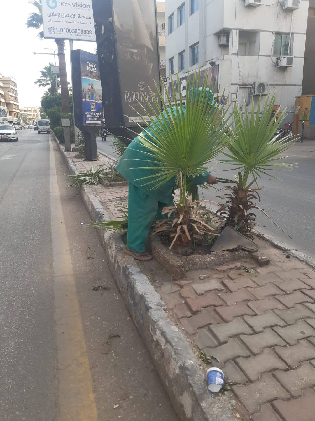 حملات مكثفة لتجميل المسطحات الخضراء ورفع كفاءة الشوارع بمدينة الأقصر