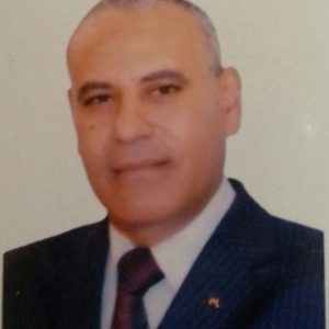 الأستاذ الدكتور السيد الجمل المحلل السياسي ووكيل وزارة الإعلام الأسبق