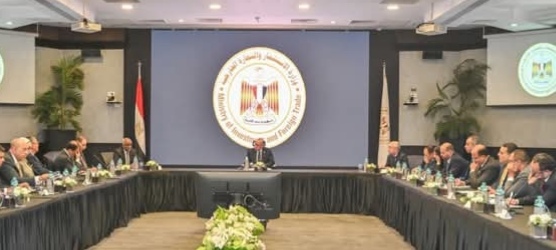 تحركات حكومية لإنشاء صندوق استثماري لتعزيز التواجد المصري في القارة الأفريقية