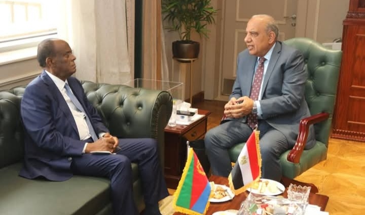 اتفاقات جديدة لتعزيز التعاون المصري الإريتري في قطاع الكهرباء