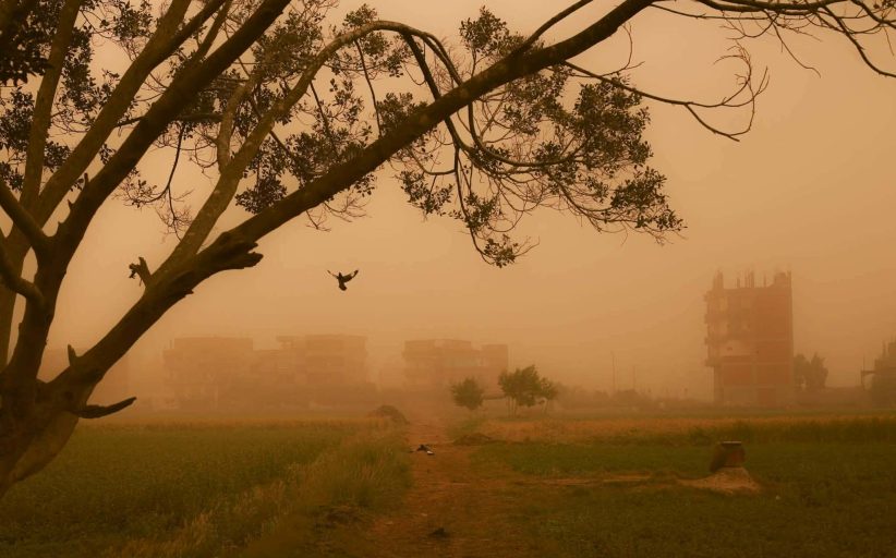 عاصفة ترابية تضرب قرى الشرقية وتُعطل الحياة اليومية وتُخفض الرؤية