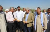 السكرتير العام للمنيا يتابع حصاد البطاطس بمطاي.. والمحافظة تُعزز مكانتها التصديرية عالميًا