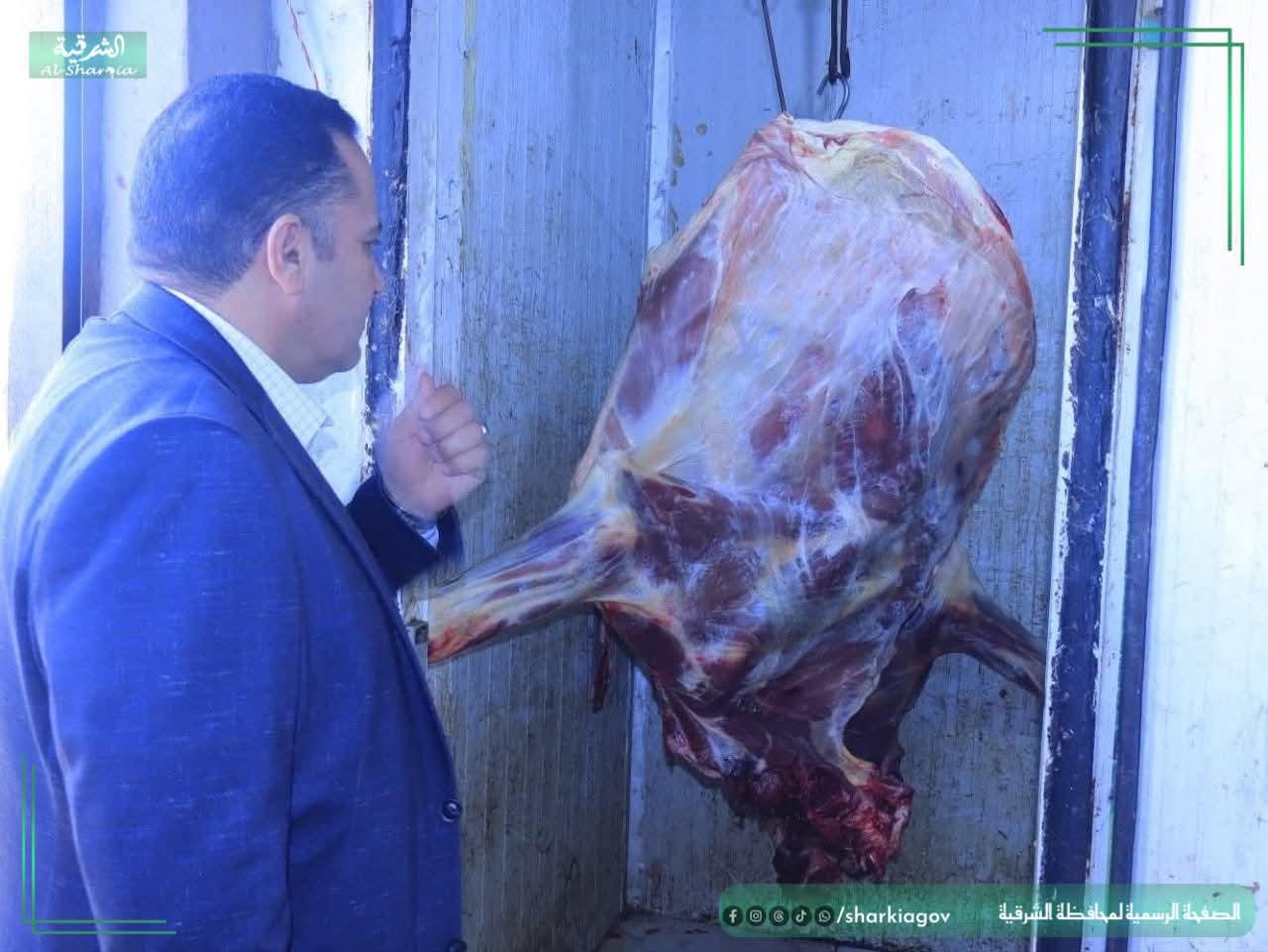 بيطري الشرقية يُكثف حملاته قبل عيد الأضحى ويضبط ذبيحة غير صالحة للاستهلاك بكفر صقر