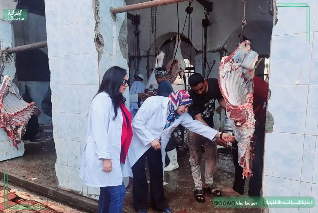 الشرقيه تذبح 118 رأس ماشية لتوزيع لحوم الأضاحي على الأسر الأولى بالرعاية