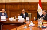 وزير الخارجية يستعرض رؤية مصر للتحديات الإقليمية أمام “خارجية الشيوخ”