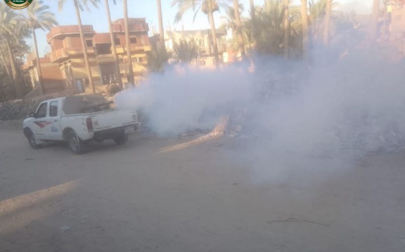 تكثيف حملات رش الناموس والحشرات الطائرة بمراكز الشرقية للحد من انتشارها خلال الصيف