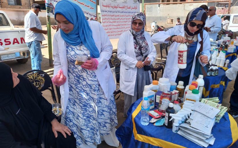 محافظ الدقهلية: تقديم خدمات علاجية ووقائية لـ1150 رأس ماشية و4000 طائر خلال قافلة بيطرية بمنية النصر