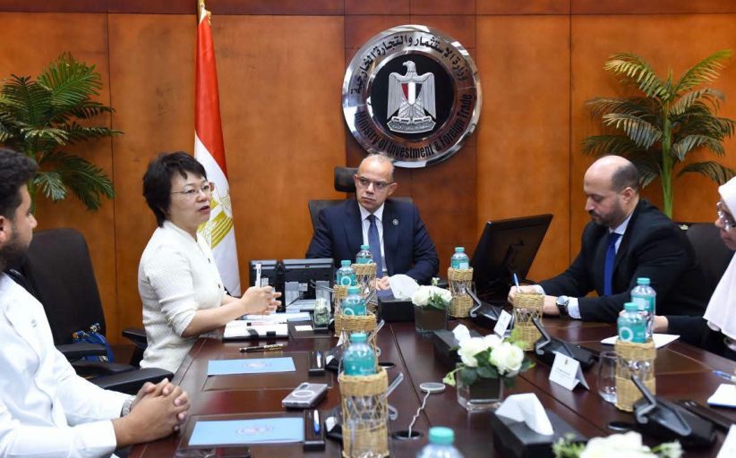 مصر تقترب من توطين صناعة خطوط إنتاج السيارات.. استثمارات صينية جديدة بـ20 مليون دولار