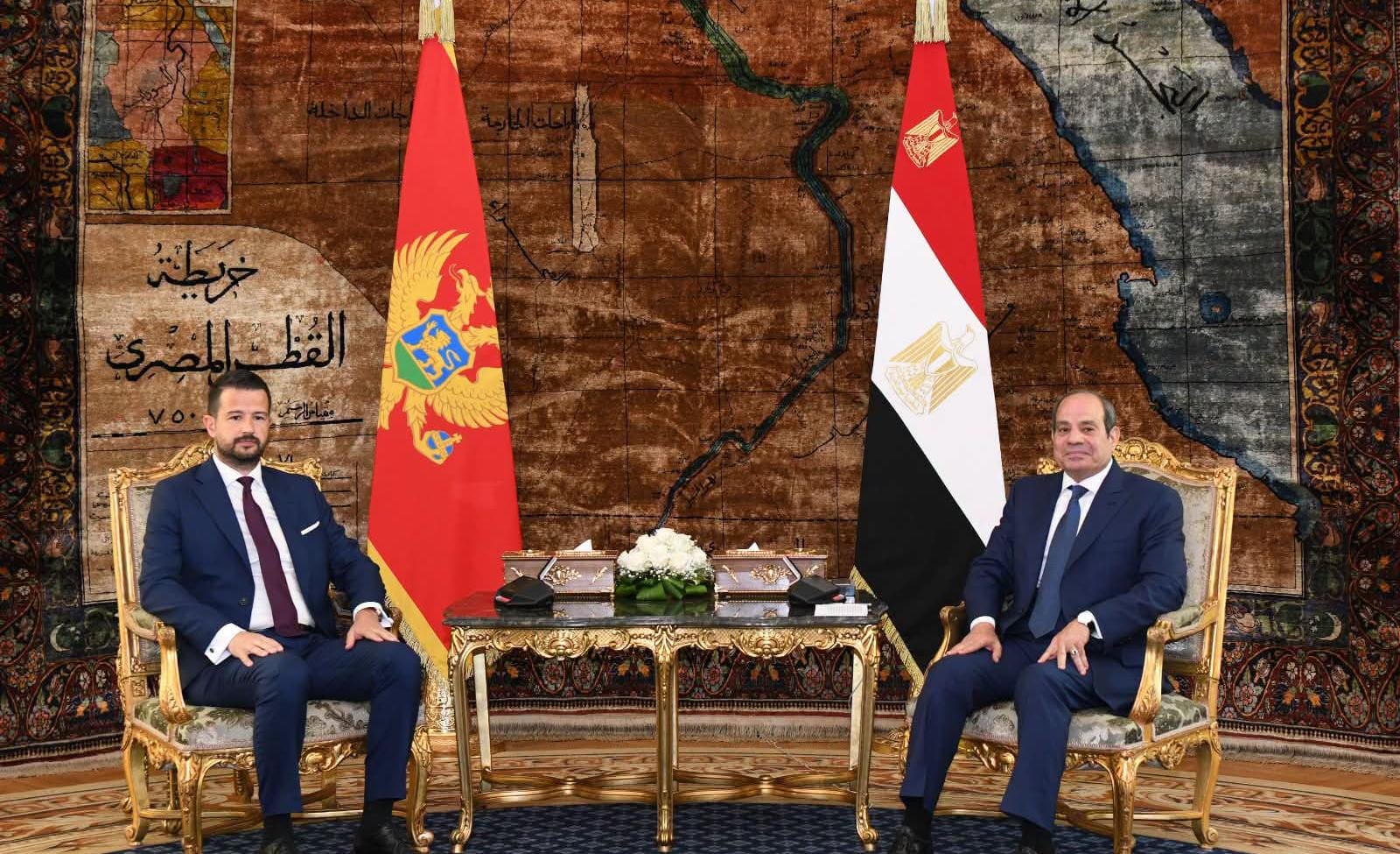 السيسي ورئيس الجبل الأسود يطلقان مرحلة جديدة من التعاون الاقتصادي والتنسيق حول قضايا المنطقة