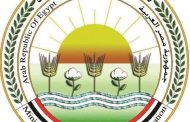 الزراعة: 11.8 ألف موافقة وتصريح للمبيدات وتأهيل 1600 متدرب خلال 6 أشهر