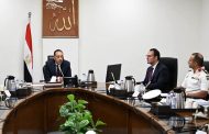 مدبولي يوجه بتطبيق أفضل التجارب الدولية لمواجهة ظاهرة الكلاب الضالة
