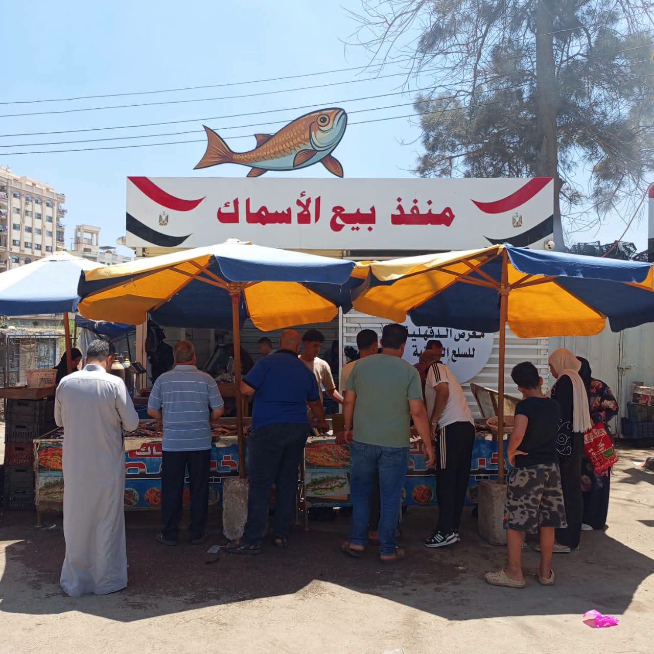 محافظ الدقهلية يشدد على متابعة أسعار السلع بالمعرض الدائم لضمان استمرار التخفيضات