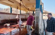 محافظ أسيوط يتفقد مجزر البداري بالكوم الأحمر لمتابعة انتظام العمل وكفاءة التشغيل