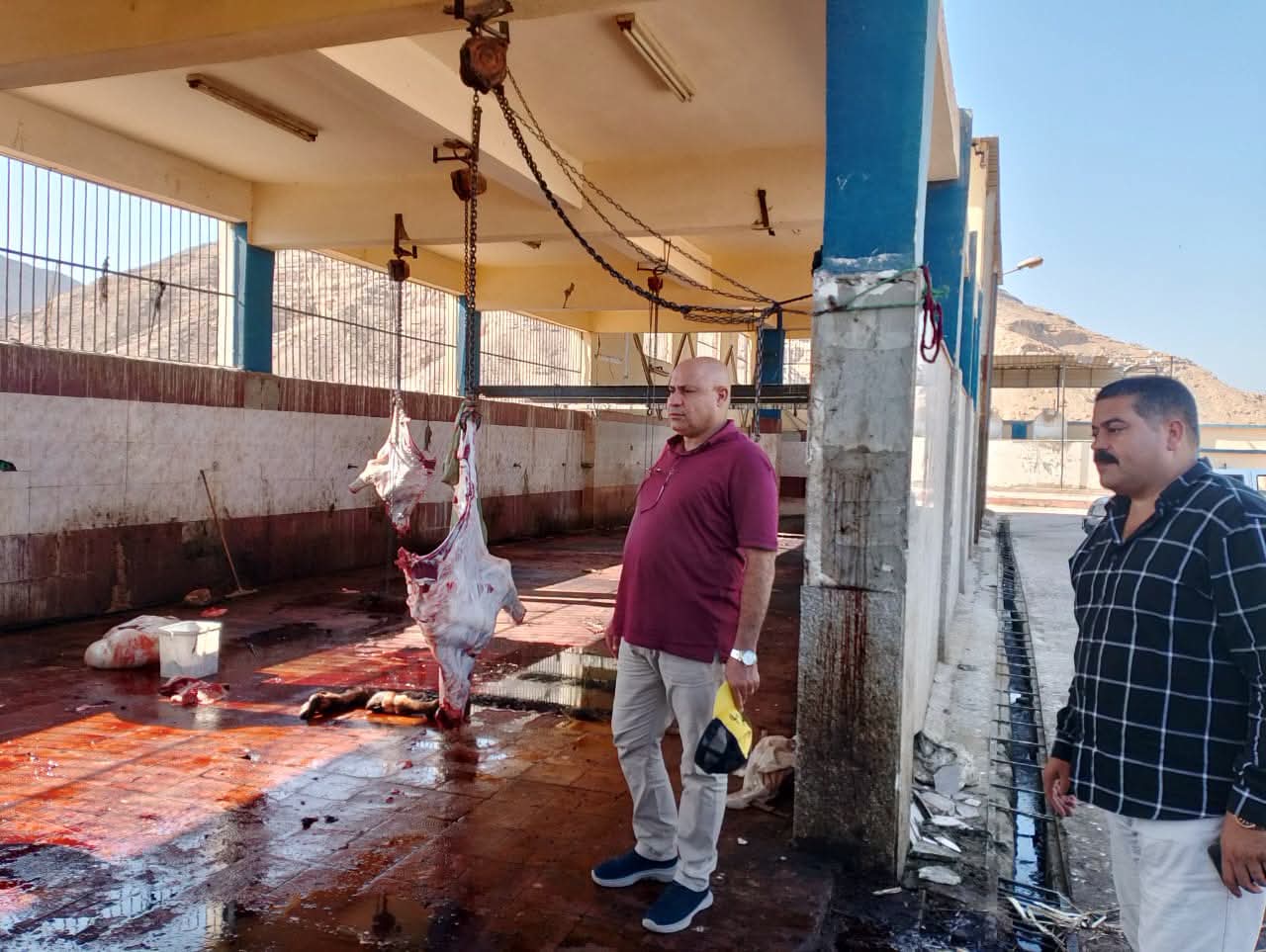 محافظ أسيوط يتفقد مجزر البداري بالكوم الأحمر لمتابعة انتظام العمل وكفاءة التشغيل