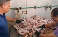 محافظ الغربية..ضبط 17 طنًا و896 كجم وتحرير 109 محاضر لمخالفات الأغذية ذات الأصل الحيواني