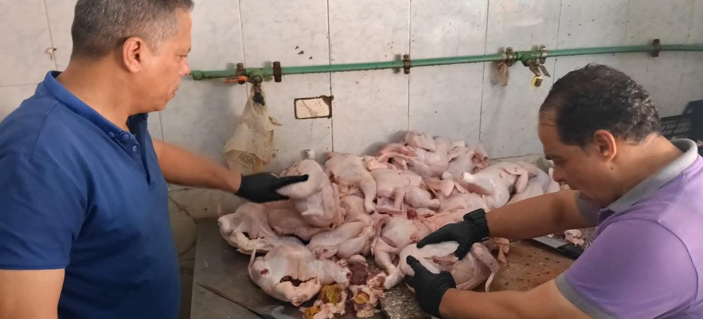 محافظ الغربية..ضبط 17 طنًا و896 كجم وتحرير 109 محاضر لمخالفات الأغذية ذات الأصل الحيواني