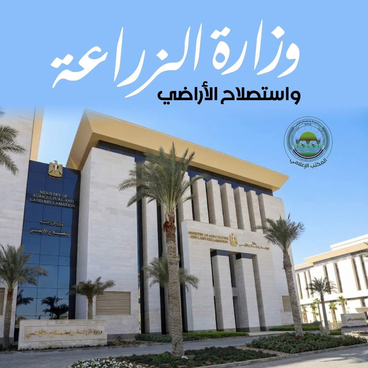الزراعة تتحرك لحماية المحاصيل.. 1245 حملة رقابية ومكافحة الآفات على آلاف الأفدنة