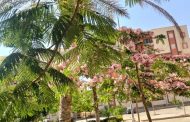 وزيرة الإسكان تتابع تطوير المرافق والتصدي للمخالفات في الشيخ زايد وحدائق أكتوبر