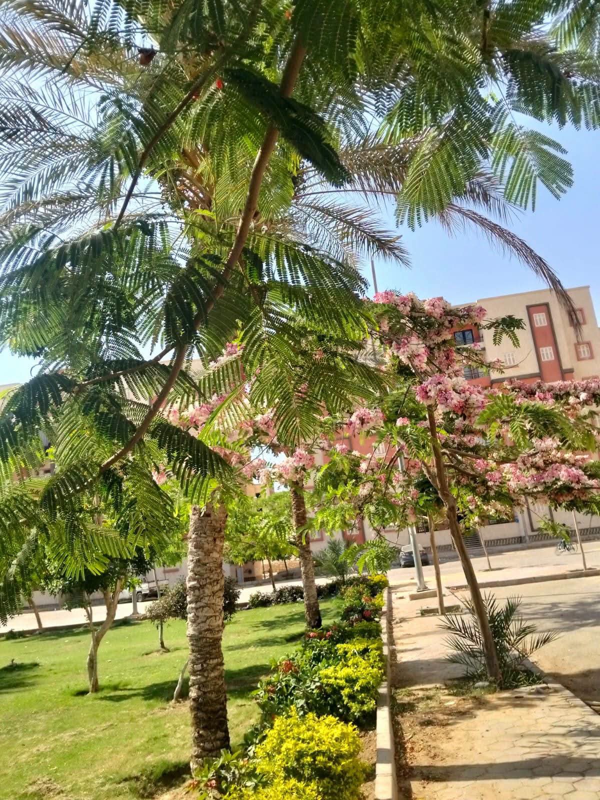 وزيرة الإسكان تتابع تطوير المرافق والتصدي للمخالفات في الشيخ زايد وحدائق أكتوبر
