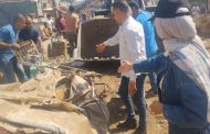 حملات مكثفة لرفع الإشغالات والتعديات من شوارع شبين القناطر