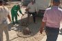خلال لقاء مباشر بالمركز التكنولوجي.. محافظ الدقهلية يتابع شكاوى المواطنين ويوجه بسرعة الاستجابة