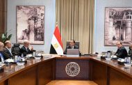 مدبولي يوجه بتسريع إصلاح الشركات المملوكة للدولة وتعظيم عوائد أصولها