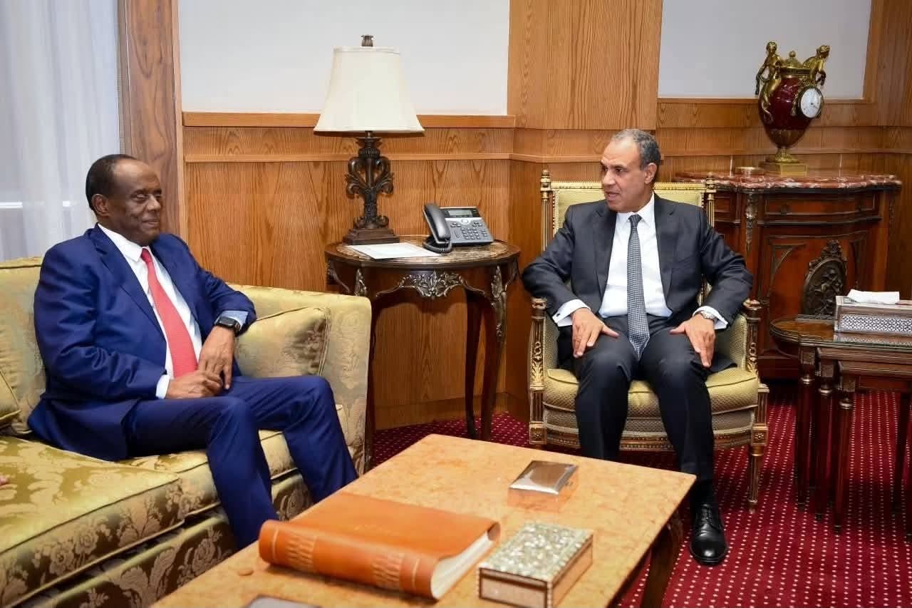 مصر وإريتريا تبحثان توسيع التعاون الاقتصادي والاستثماري وتعزيز الشراكة الثنائية
