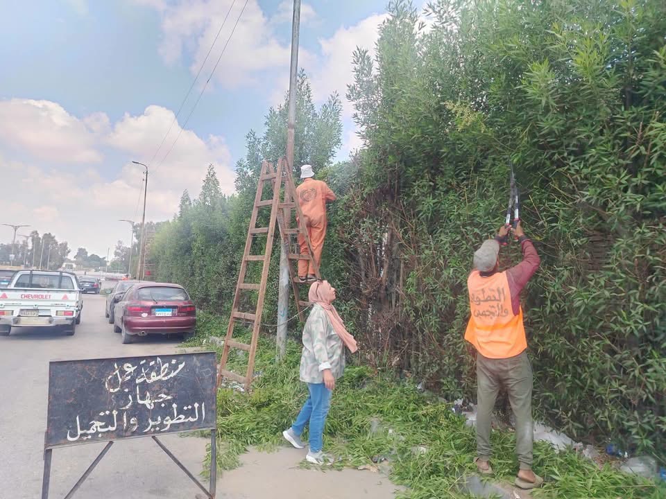 حملات مكثفة لتجميل شوارع الإسماعيلية.. تهذيب الأشجار ورفع كفاءة 30 فدانًا