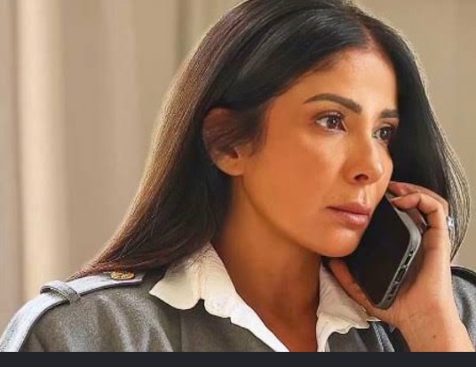 الجهات القضائية تعلن استكمال تصوير فيلم 