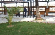 جهود التطوير بالدقهلية: محافظ الدقهلية يتفقد أعمال تطوير حديقة 