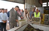 محافظ جنوب سيناء يتفقد معصرة زيت الزيتون بأبوصويرة لدعم مزارعي رأس سدر